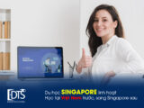 Du học Singapore linh hoạt: Học tại Việt Nam trước sang Singapore sau Du học Singapore linh hoạt Học tại Việt Nam trước sang Singapore sau